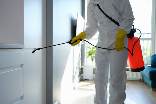 Best Commercial Mold Remediation in Winnebago, MN